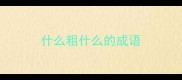 什么粗什么的成语