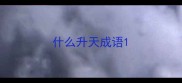 什么升天成语