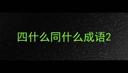 四什么同什么成语