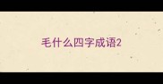 毛什么四字成语