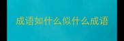 成语如什么似什么成语