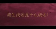 猫生成语是什么成语
