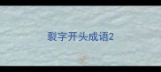 裂字开头成语