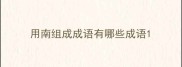 用南组成成语有哪些成语