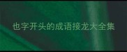 也字开头的成语接龙大全集