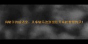 有辙字的成语全从车辙马迹到继往开来的智慧传承