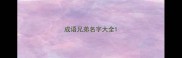 成语兄弟名字大全