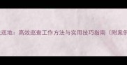 巡天巡地高效巡查工作方法与实用技巧指南附案例