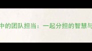 成语中的团队担当一起分担的智慧与力量