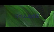 行什么立成语