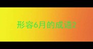 形容6月的成语