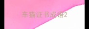 车猫证书成语