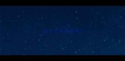 流什么失所成语
