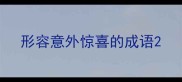 形容意外惊喜的成语