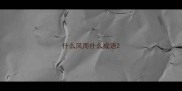 什么风而什么成语