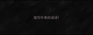 描写外表的成语