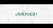u结尾的成语