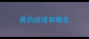 鼻的成语有哪些