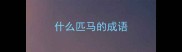 什么匹马的成语