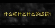 什么枉什么什么的成语