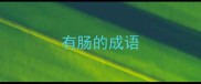 有肠的成语