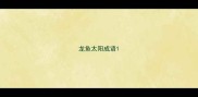 龙鱼太阳成语