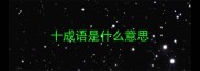十成语是什么意思