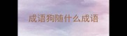 成语狗随什么成语