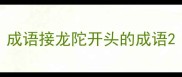成语接龙陀开头的成语