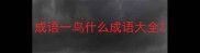 成语一鸟什么成语大全