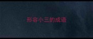 形容小三的成语