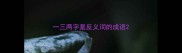 一三两字是反义词的成语