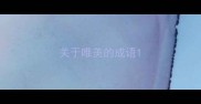 关于唯美的成语