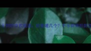 10个最不示弱的中式成语你知道几个不示弱背后的文化力量