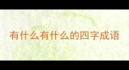 有什么有什么的四字成语