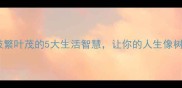 带枝的成语枝繁叶茂的5大生活智慧让你的人生像树一样茁壮成长