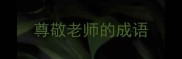 尊敬老师的成语
