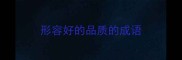 形容好的品质的成语