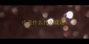 小丑什么什么成语