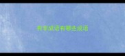 有非成语有哪些成语