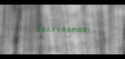 成语人才字开头的成语