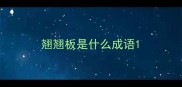 翘翘板是什么成语