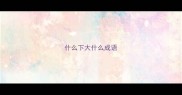 什么下大什么成语