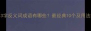 13字反义词成语有哪些最经典10个及用法