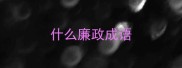 什么廉政成语