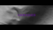 与前有关的成语