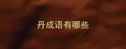 丹成语有哪些