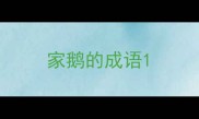 家鹅的成语