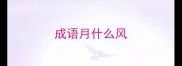 成语月什么风
