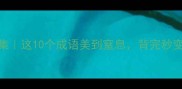 镜悬成语合集这10个成语美到窒息背完秒变文学女神